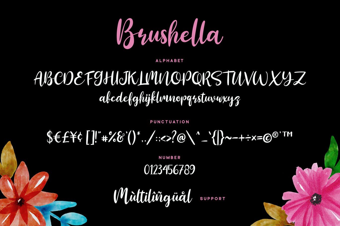 美丽精致的脚本字体 Brushella Font 设计素材 sucaiwan.com