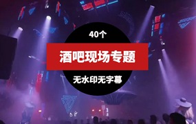 酒吧现场蹦迪DJ视频素材40个