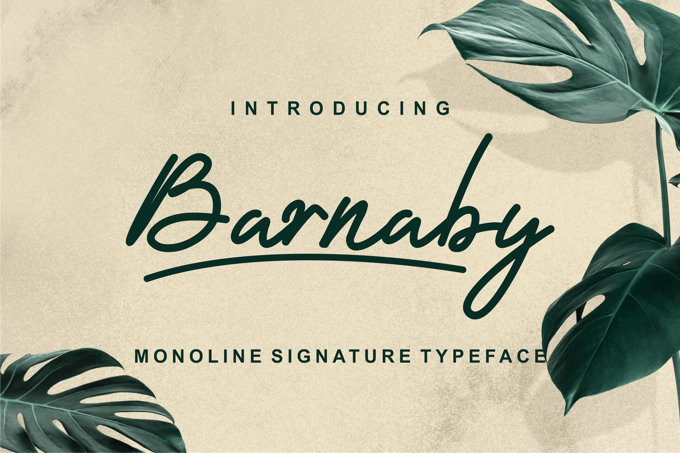 单线签名手写字体 Barnaby Monoline Signature Font 设计素材 sucaiwan.com