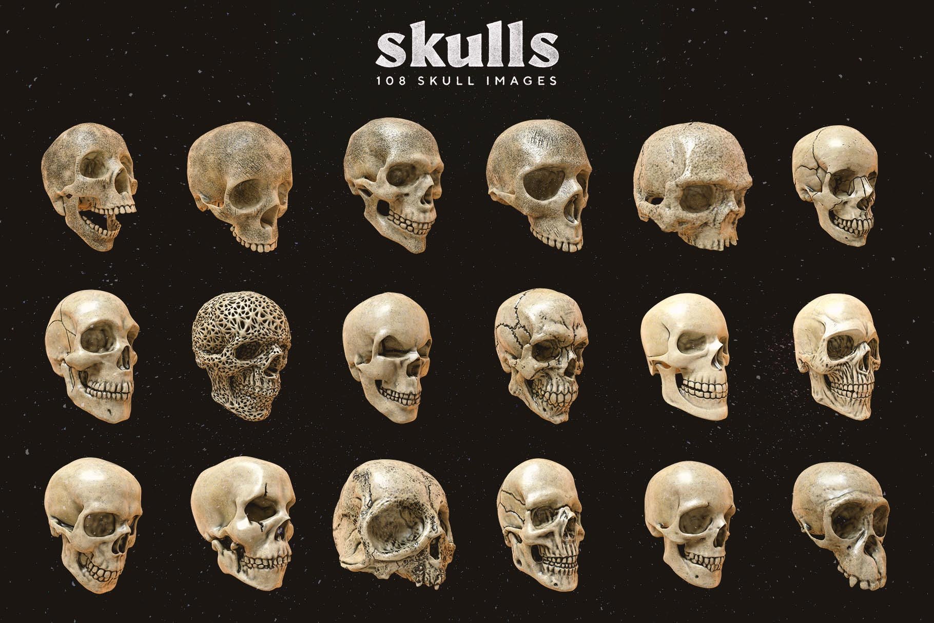 Skulls 108个高分辨率骷髅头骨逼真骨骼金属纹理PNG素材 图片素材 第4张-素材湾丨精选海外优质设计素材资源 Skulls 108个高分辨率骷髅头骨逼真骨骼金属纹理PNG素材 图片素材 sucaiwan.com