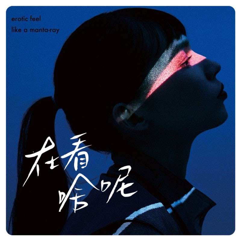 鸿雷拙书简体，免费商用字体 设计素材 sucaiwan.com