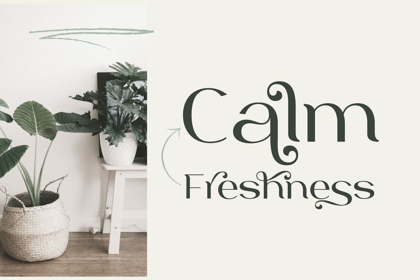 美丽优雅的无衬线字体素材 Belajor – Sans Serif Font 设计素材 sucaiwan.com