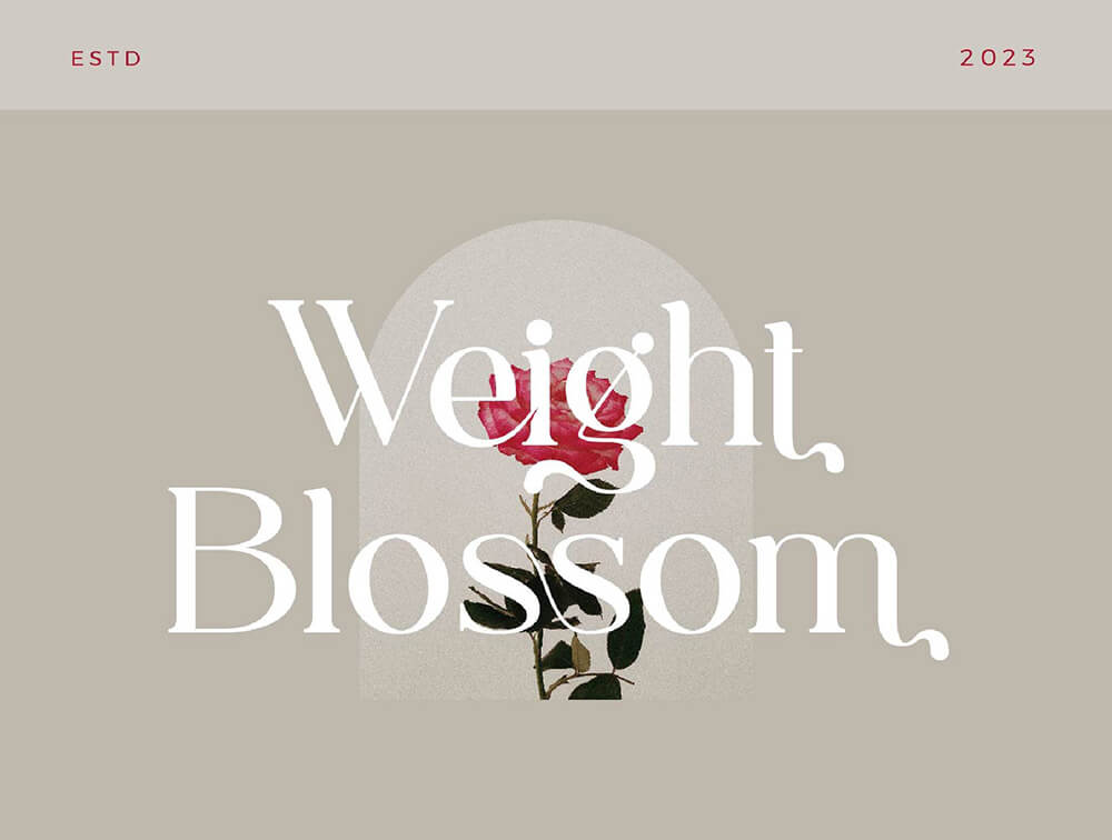 时尚连字字体 设计素材 sucaiwan.com