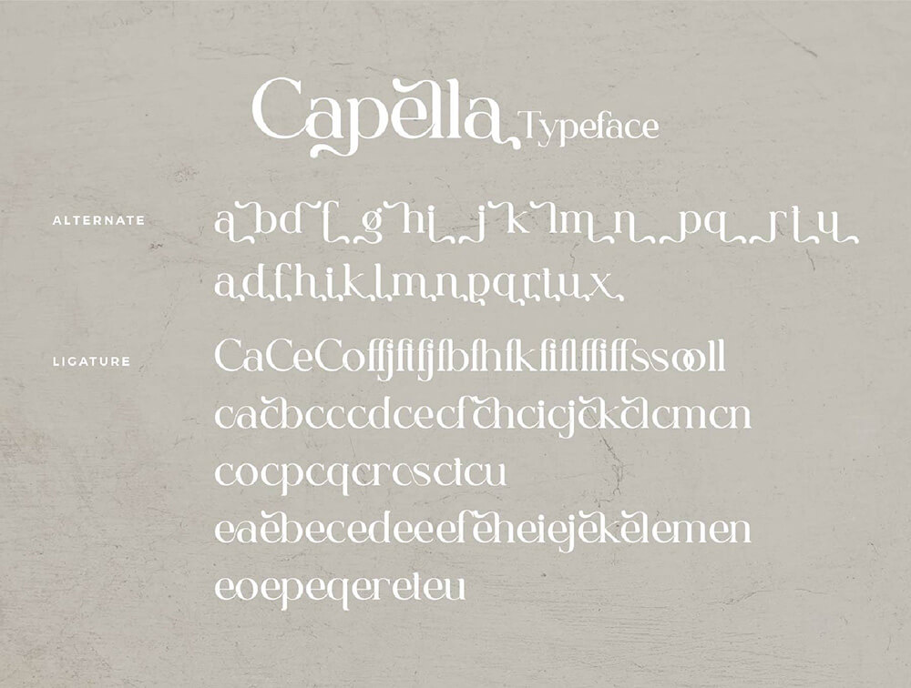 时尚连字字体 设计素材 sucaiwan.com