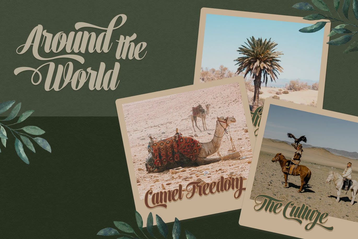 加粗手写字体 Calminho Bold Script Font 设计素材 sucaiwan.com