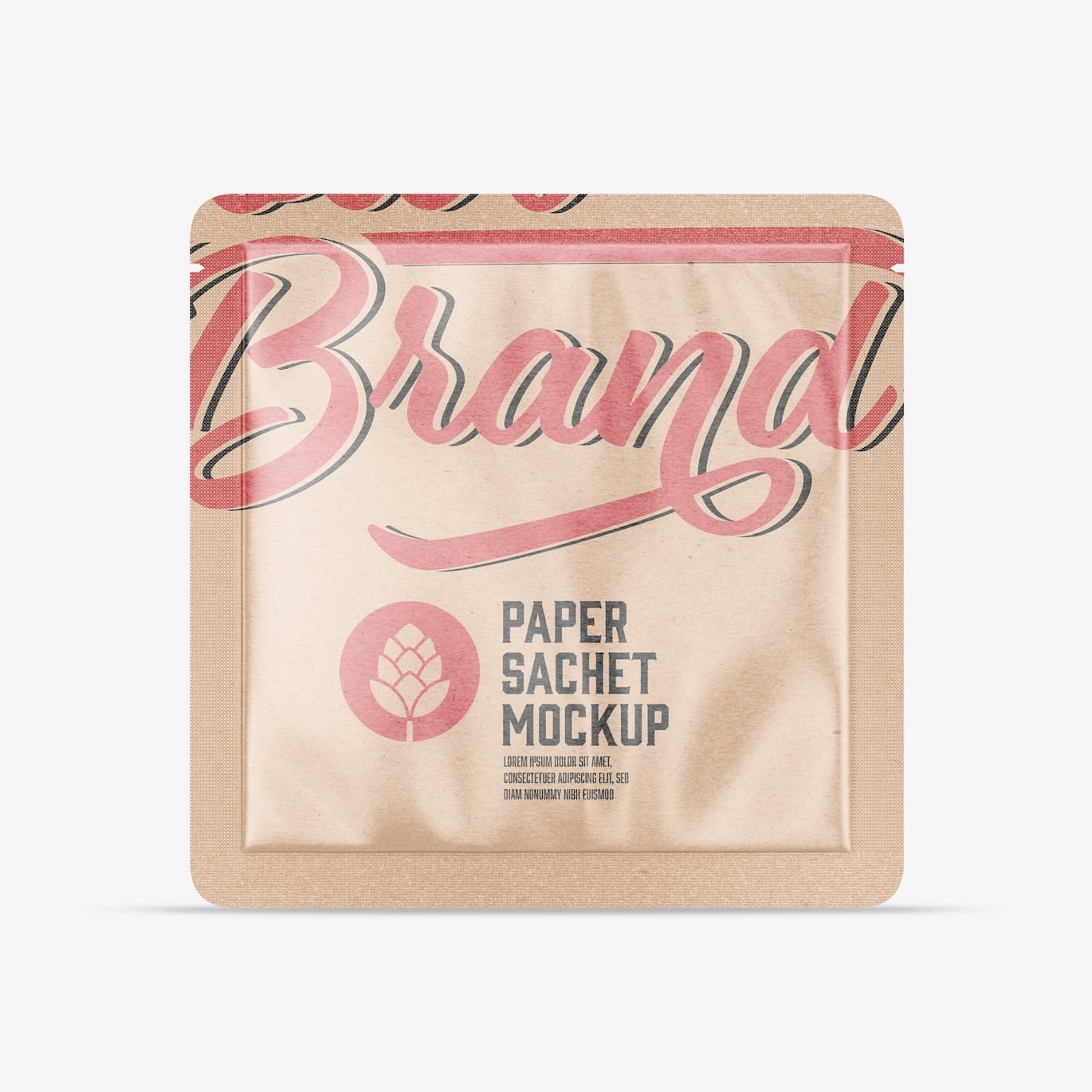 包装牛皮纸袋设计样机图 Pack Kraft Sachet Mockup 样机素材 sucaiwan.com