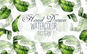 16个手绘水彩热带元素图案素材 16 Hand Drawn Watercolor Pattern