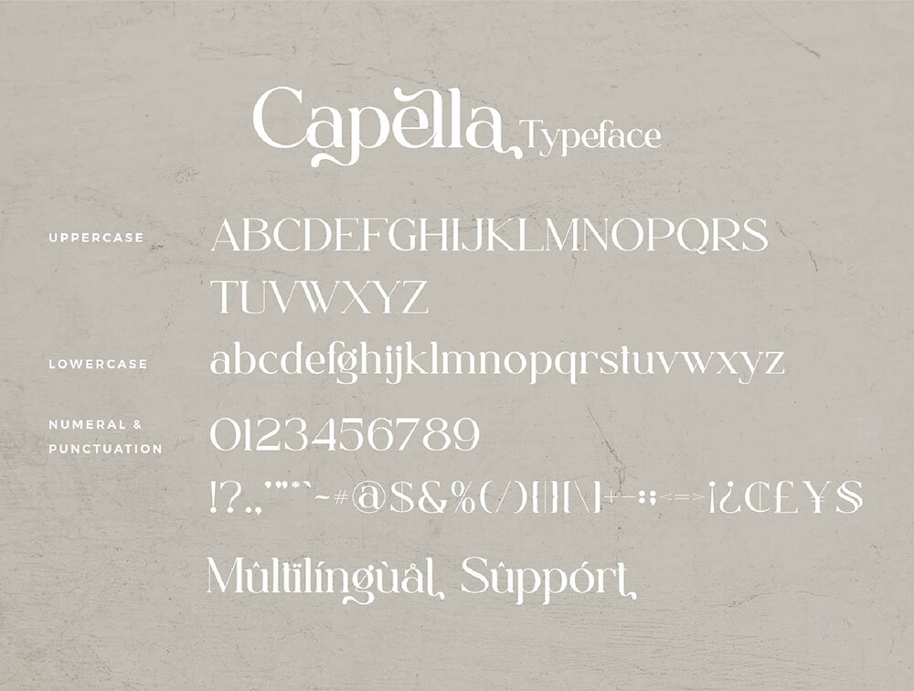 时尚连字字体 设计素材 sucaiwan.com