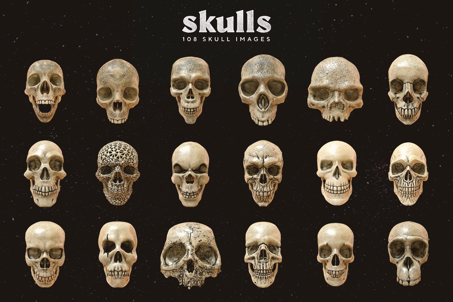 Skulls 108个高分辨率骷髅头骨逼真骨骼金属纹理PNG素材 图片素材 第6张-素材湾丨精选海外优质设计素材资源 Skulls 108个高分辨率骷髅头骨逼真骨骼金属纹理PNG素材 图片素材 sucaiwan.com