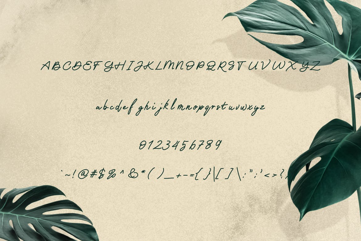 单线签名手写字体 Barnaby Monoline Signature Font 设计素材 sucaiwan.com