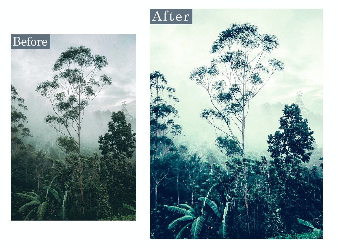 绿色滤镜效果PS动作 Moody Green Cinematic Photoshop Actions 插件预设 sucaiwan.com