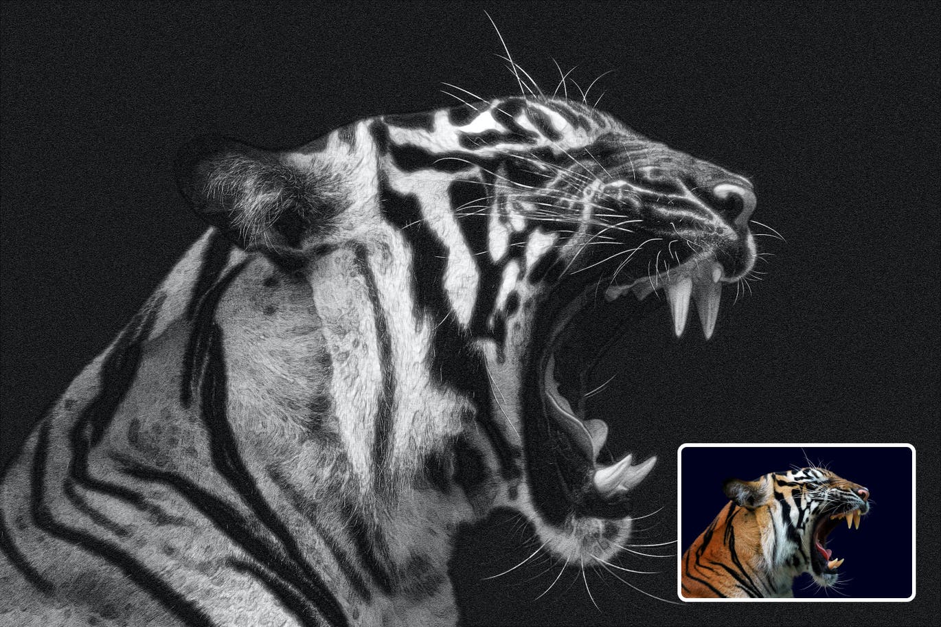 铅笔画效果照片处理PS动作 Pencil Drawings Effect Photoshop Action 插件预设 sucaiwan.com
