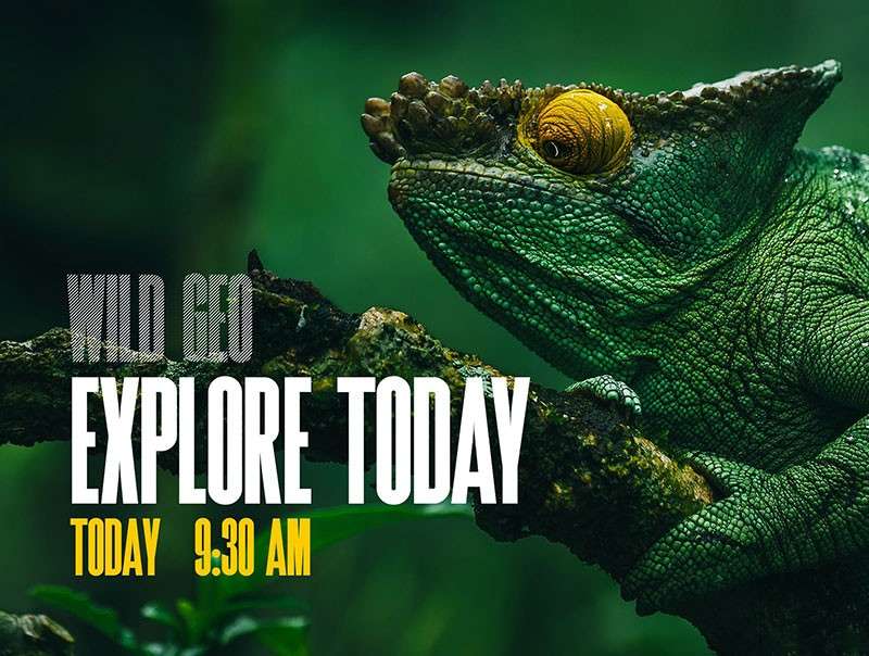 Superline现代醒目的英文字体 设计素材 sucaiwan.com