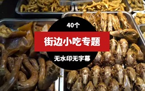 街边小吃美食高清视频素材(40个）