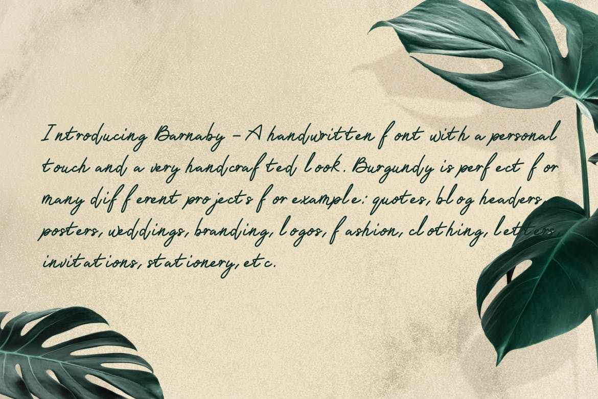 单线签名手写字体 Barnaby Monoline Signature Font 设计素材 sucaiwan.com