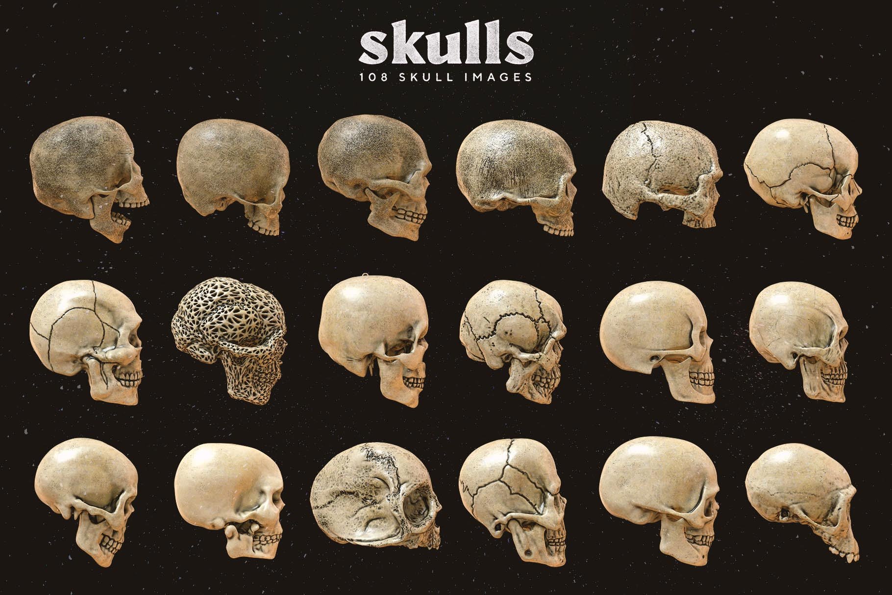 Skulls 108个高分辨率骷髅头骨逼真骨骼金属纹理PNG素材 图片素材 第2张-素材湾丨精选海外优质设计素材资源 Skulls 108个高分辨率骷髅头骨逼真骨骼金属纹理PNG素材 图片素材 sucaiwan.com
