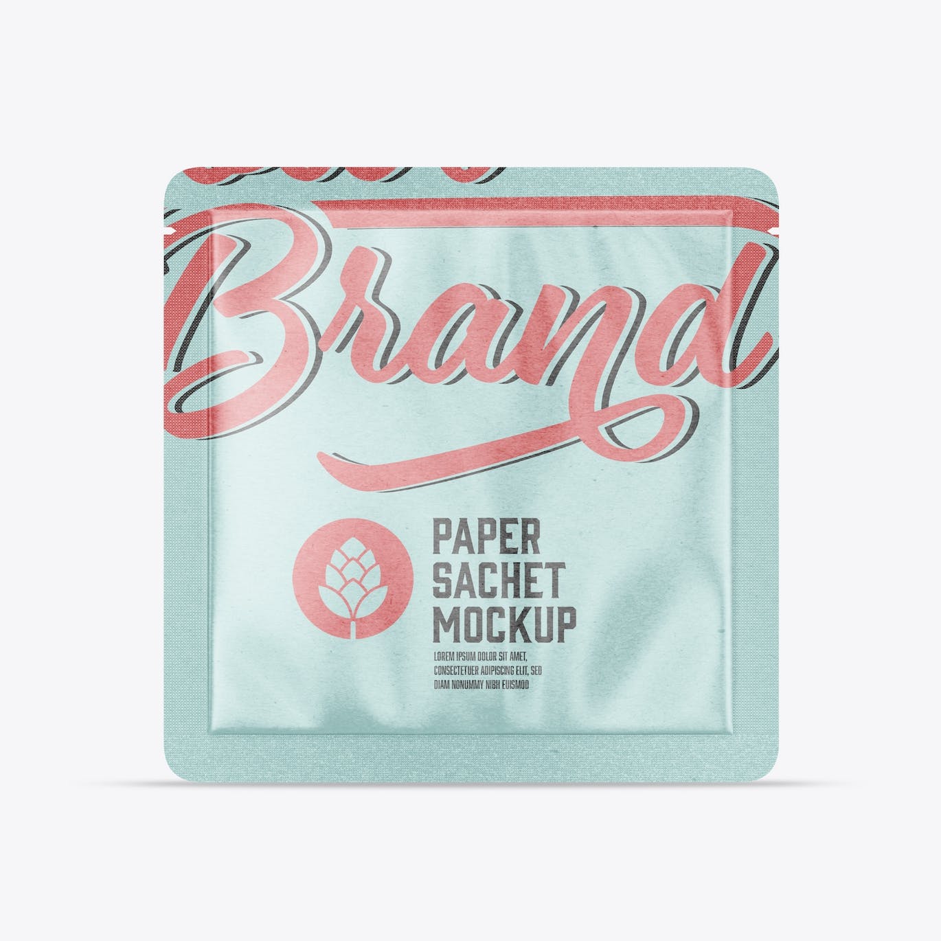 包装牛皮纸袋设计样机图 Pack Kraft Sachet Mockup 样机素材 sucaiwan.com