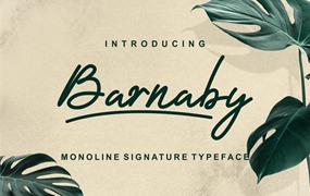 单线签名手写字体 Barnaby Monoline Signature Font