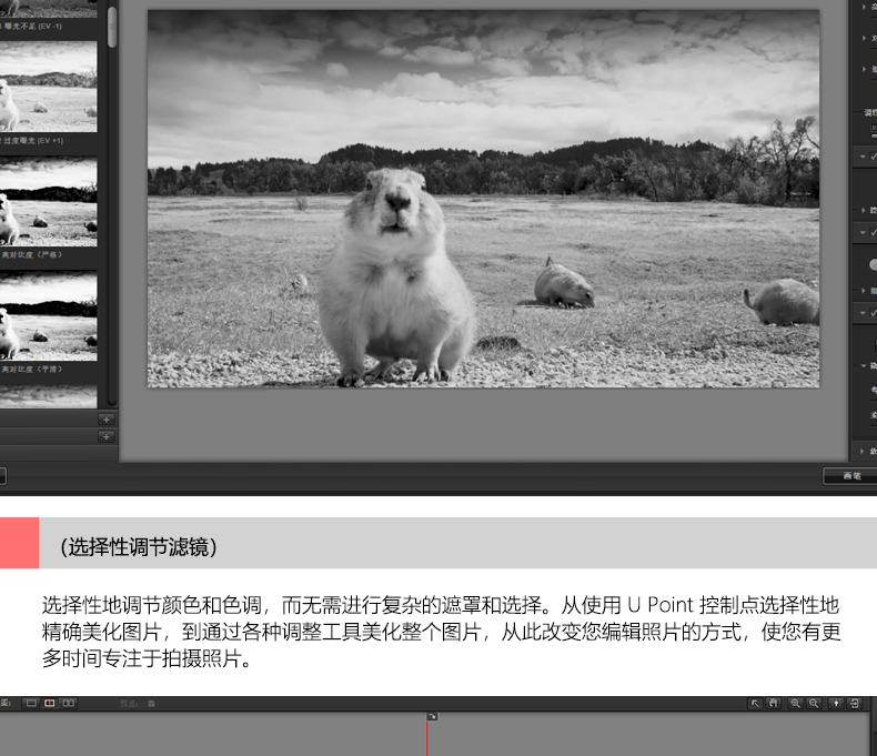 PS插件：2023最新版PS&LR插件Nik Collection by DxO v5.7.0调色降噪锐化滤镜插件附安装&使用视频教程支持win/mac/M1 插件预设 sucaiwan.com