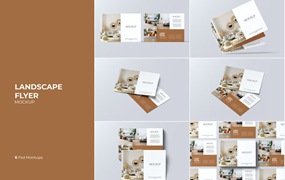横版产品传单设计样机图 Landscape Flyer Mockup