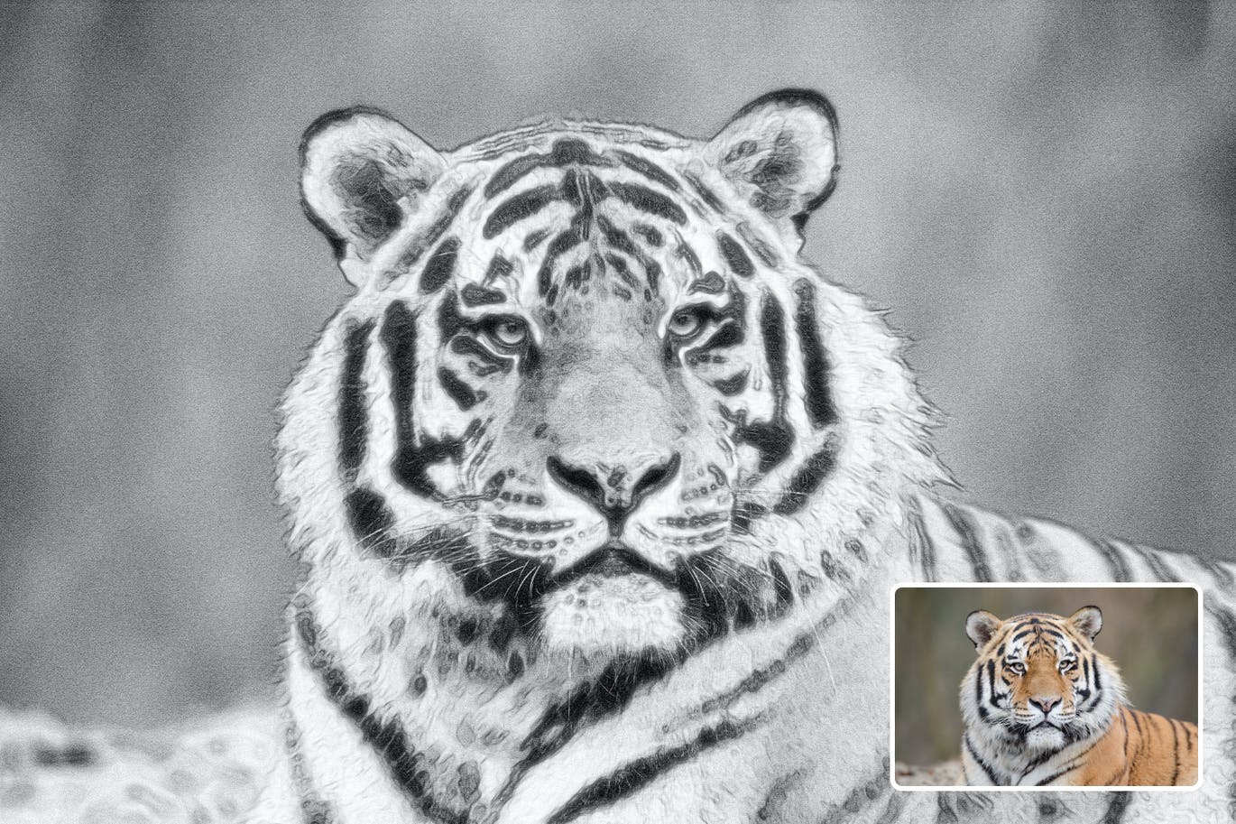 铅笔画效果照片处理PS动作 Pencil Drawings Effect Photoshop Action 插件预设 sucaiwan.com