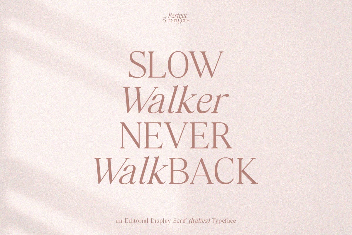 优雅斜体衬线字体素材 Perfect Strangers I Display Elegant serif Italics 设计素材 sucaiwan.com