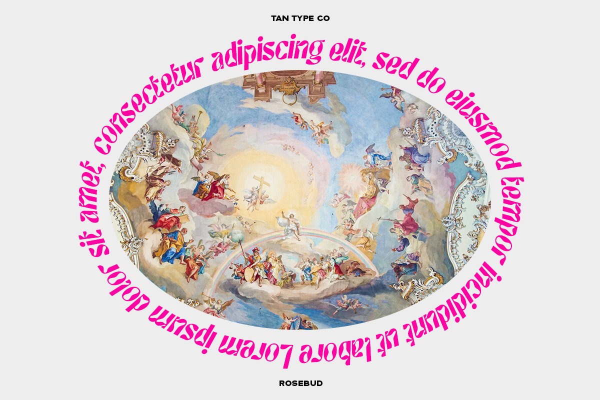 英文字体：90年代复古迷幻扭曲Y2K怪诞字母标题图标设计英文字体 TAN – ROSEBUD Font 设计素材 sucaiwan.com