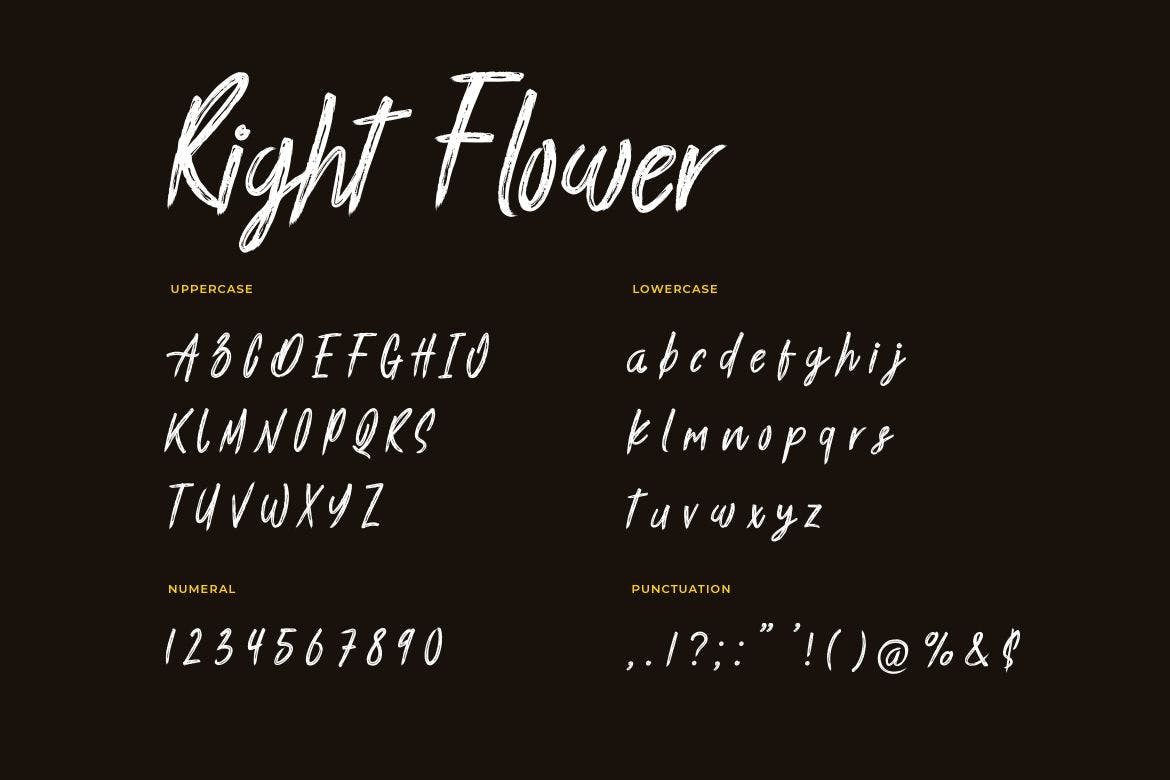 英文手写笔刷风格字体 Right Flower Brush Handwritten Font 设计素材 sucaiwan.com