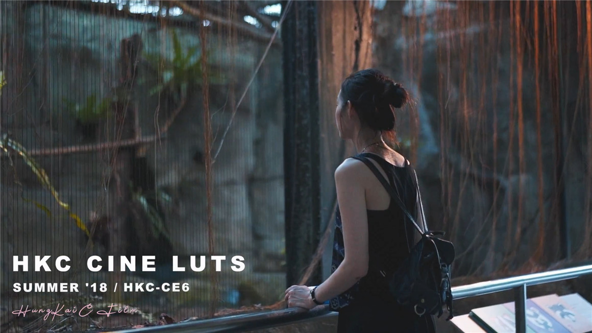 10个索尼专业电影级调色LUT预设包 CINE LUT PACK 插件预设 第6张-素材湾丨精选海外优质设计素材资源 10个索尼专业电影级调色LUT预设包 CINE LUT PACK 插件预设 sucaiwan.com