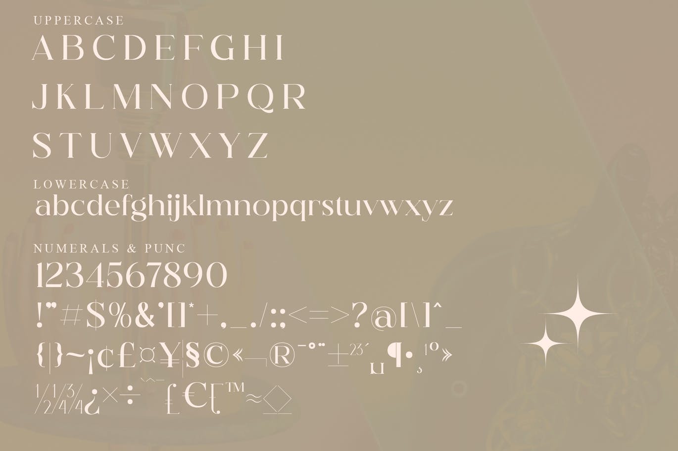 印刷文本衬线字体素材 Hegam Serif Font 设计素材 sucaiwan.com