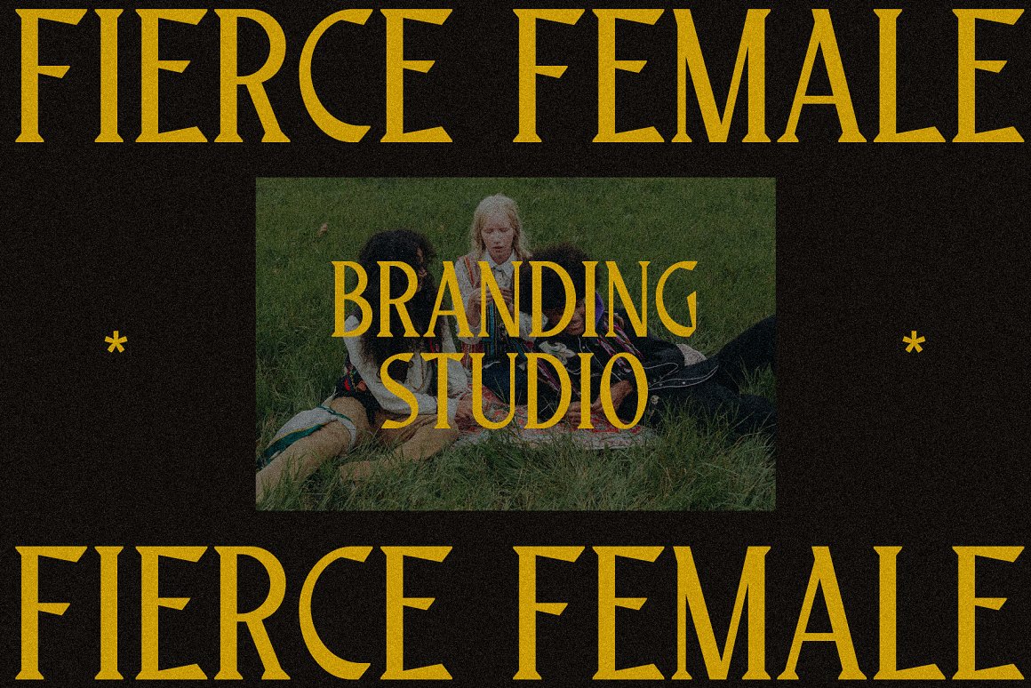 英文字体:优雅奢华品牌婚礼商标设计衬线英文字体 Normerif - Elegant Display Serif 设计素材 第6张-素材湾丨精选海外优质设计素材资源 英文字体:优雅奢华品牌婚礼商标设计衬线英文字体 Normerif - Elegant Display Serif 设计素材 sucaiwan.com