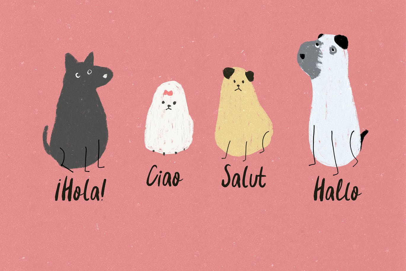 独特而美丽的英文手写字体 Kate Arden 设计素材 sucaiwan.com