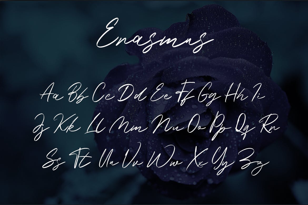 优雅流畅线条英文手写字体 Erasmus – Casual Hand Lettering Font 设计素材 sucaiwan.com