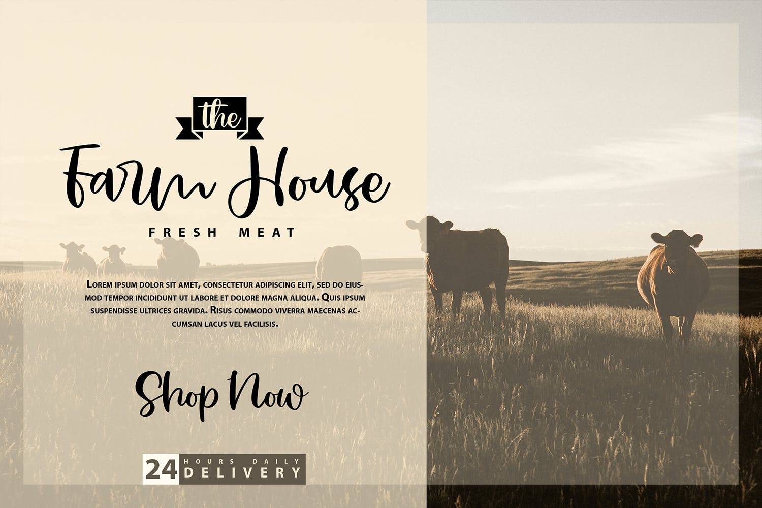 迷人书法风格笔迹字体 Stay Charming | Script Handwriting Font 设计素材 第3张-素材湾丨精选海外优质设计素材资源 迷人书法风格笔迹字体 Stay Charming | Script Handwriting Font 设计素材 sucaiwan.com