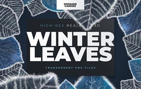 冬季叶子照片叠层素材 Winter Leaves / Leaf Overlays