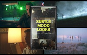 Ttropic Colour 10款情绪短片电影色彩氛围视频调色LUT预设 subtle mood looks