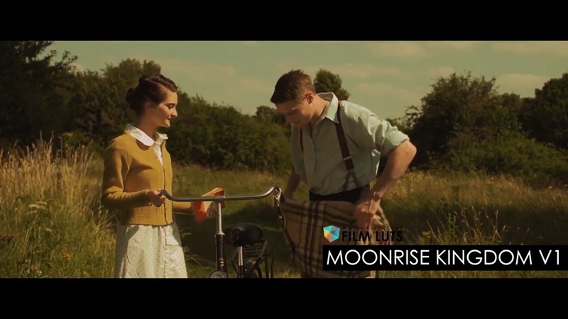 全新好莱坞创意电影质感颜色分级LUT预设包 Motion Picture Film LUTs + Tutorials 插件预设 第9张-素材湾丨精选海外优质设计素材资源 全新好莱坞创意电影质感颜色分级LUT预设包 Motion Picture Film LUTs + Tutorials 插件预设 sucaiwan.com