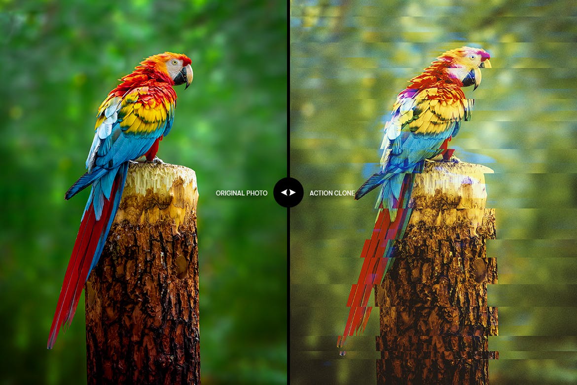 分割切片效果照片处理PS动作 Slices Photoshop Action 插件预设 sucaiwan.com