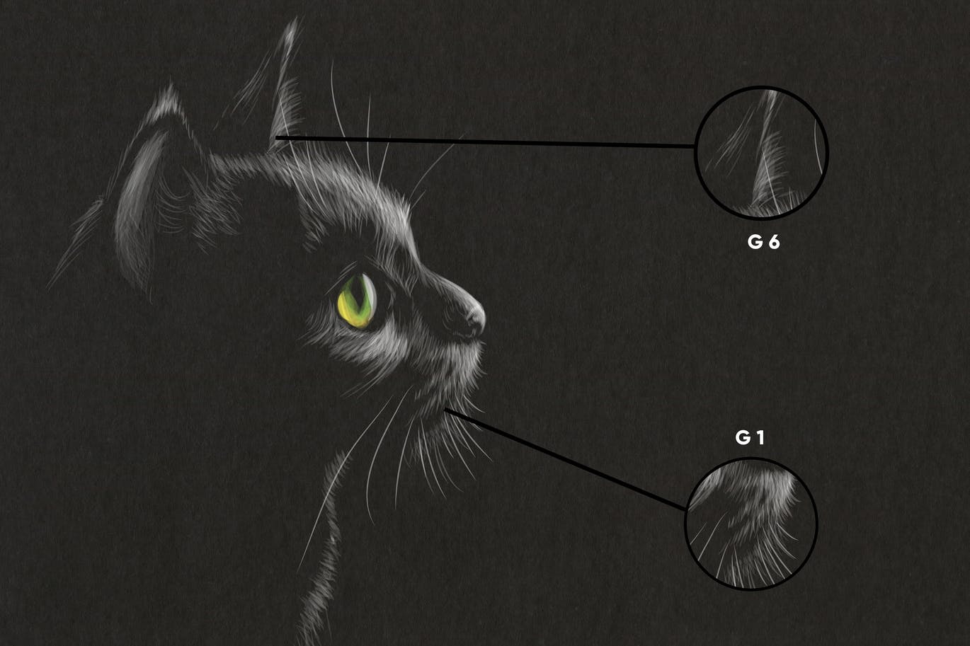 10个iPad专用石墨Procreate笔刷素材 10 Graphite Brushes Procreate 笔刷资源 sucaiwan.com