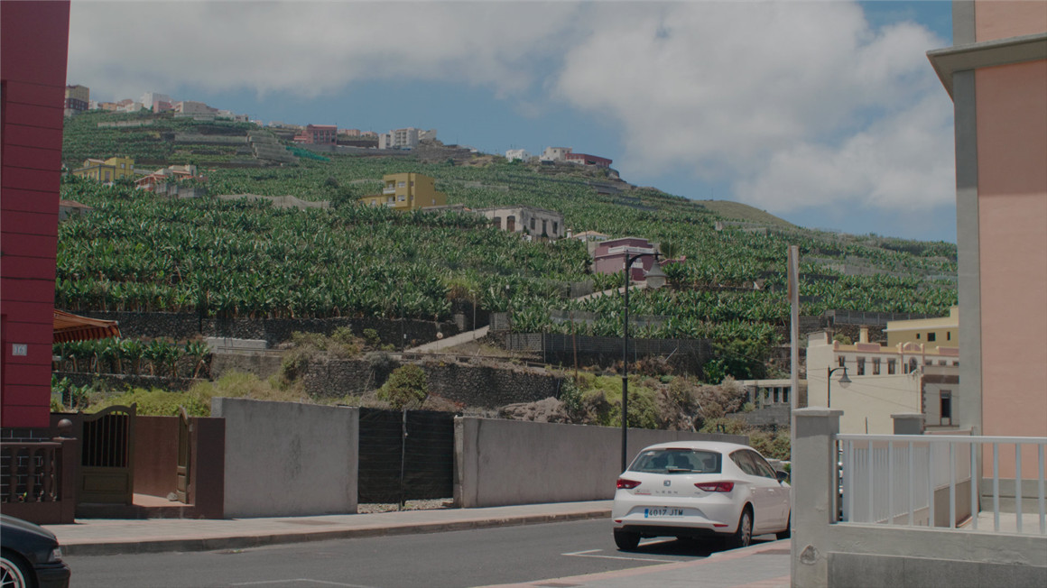 Emotive Color 松下GH5转阿莱色彩LUT调色预设包 GH5 CONVERTS ALEXA EMOTIVE COLOR GHALEX LUTS 插件预设 第7张-素材湾丨精选海外优质设计素材资源 Emotive Color 松下GH5转阿莱色彩LUT调色预设包 GH5 CONVERTS ALEXA EMOTIVE COLOR GHALEX LUTS 插件预设 sucaiwan.com