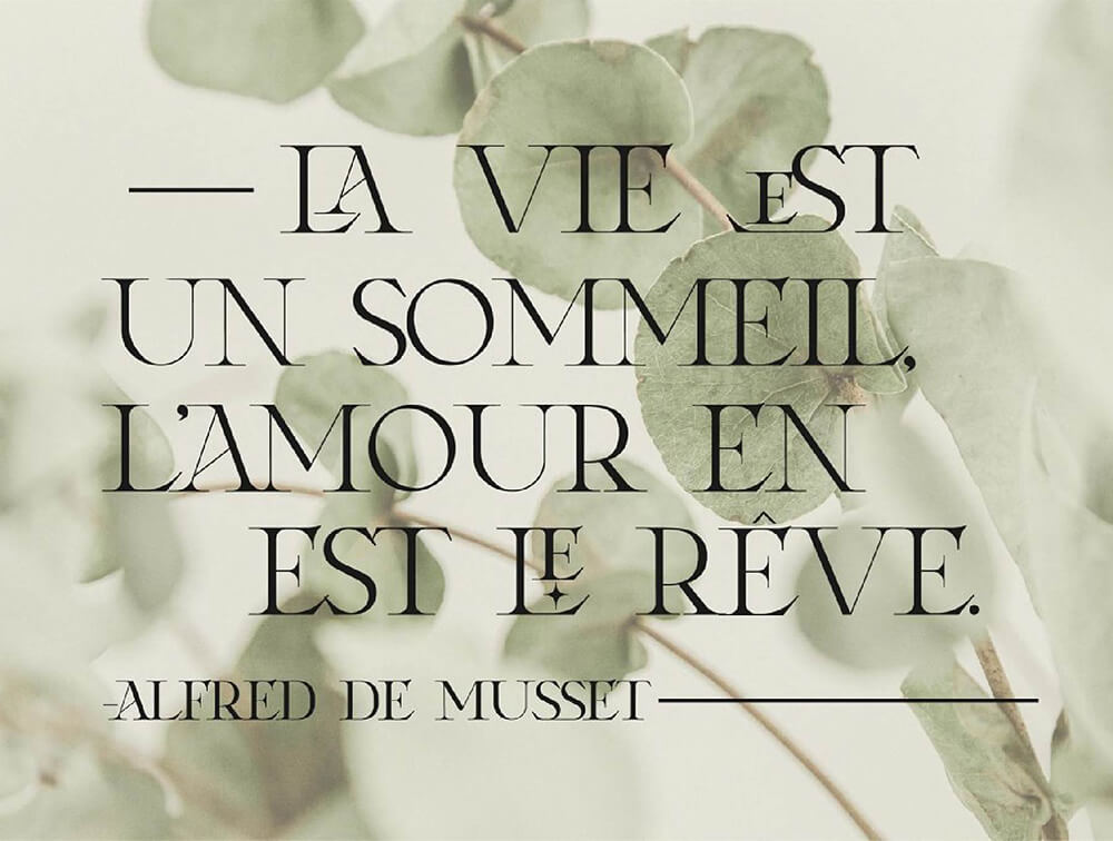 当代复古衬线字体 设计素材 sucaiwan.com