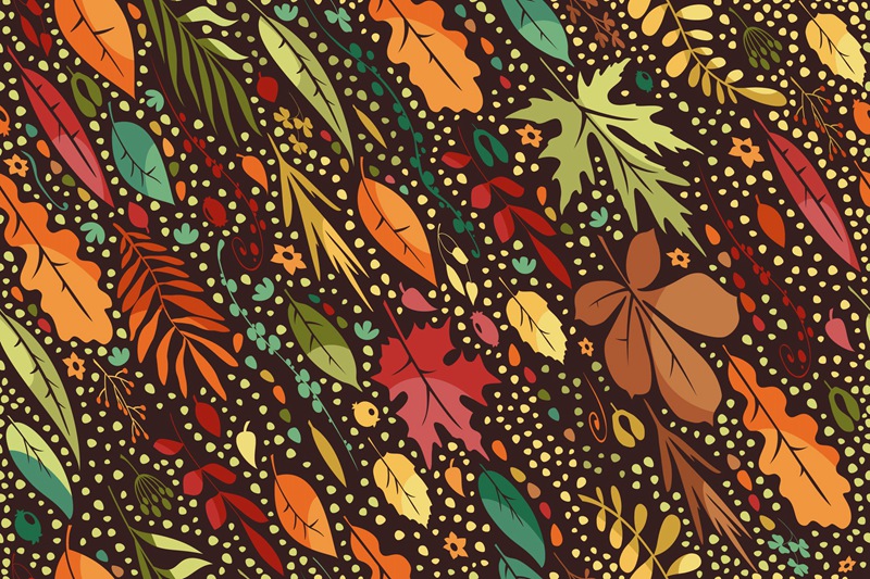 落叶无缝图案矢量背景素材 Leaf Fall Pattern 图片素材 sucaiwan.com