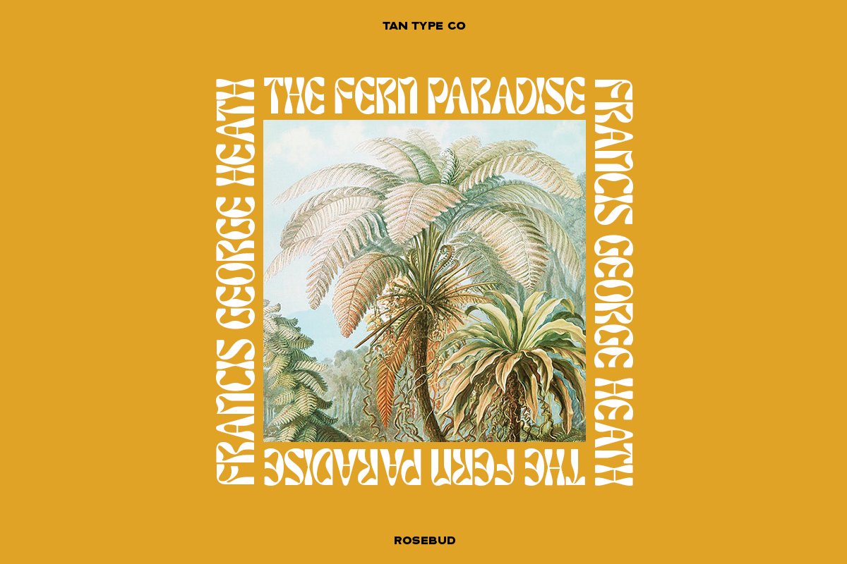 英文字体：90年代复古迷幻扭曲Y2K怪诞字母标题图标设计英文字体 TAN – ROSEBUD Font 设计素材 sucaiwan.com