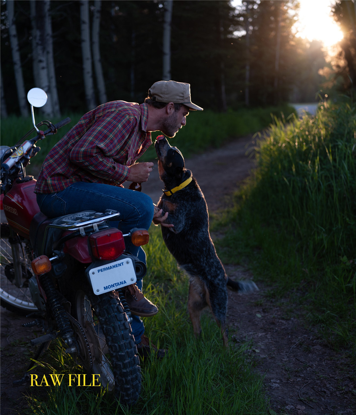 37个经典胶片扫描电影颗粒纹理LR调色预设包 Forrest Mankins - FM Film Lightroom Presets 插件预设 第10张-素材湾丨精选海外优质设计素材资源 37个经典胶片扫描电影颗粒纹理LR调色预设包 Forrest Mankins - FM Film Lightroom Presets 插件预设 sucaiwan.com