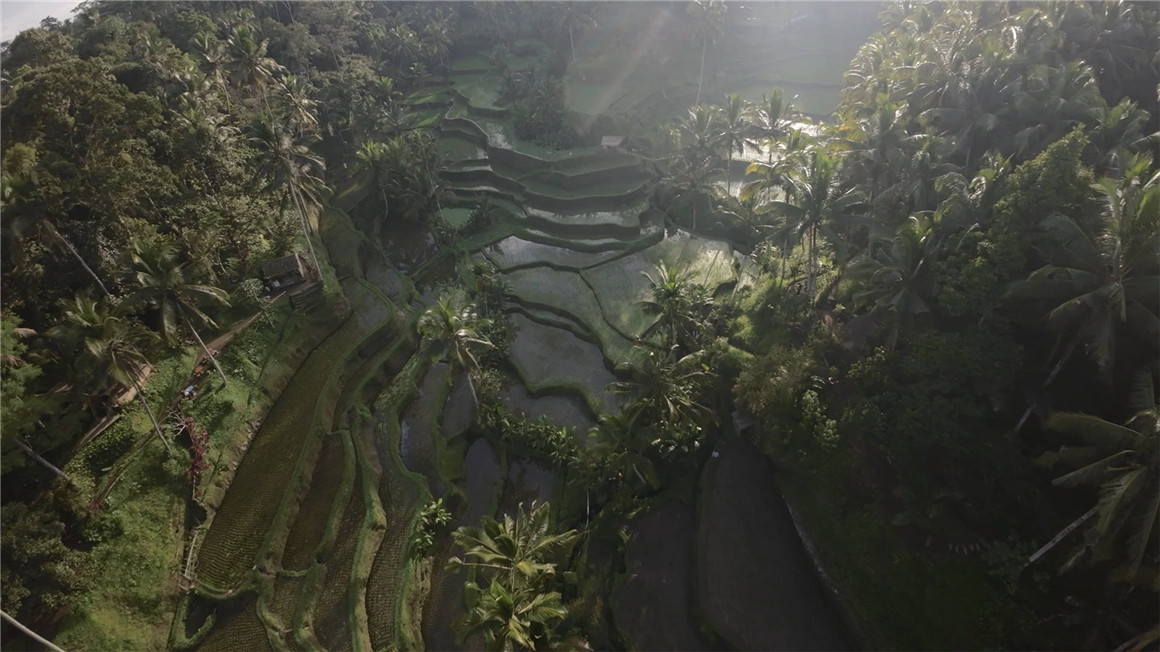 JustKay 大疆Avata无人机穿越机航拍LUT调色预设包 DJI Avata LUTs 插件预设 sucaiwan.com