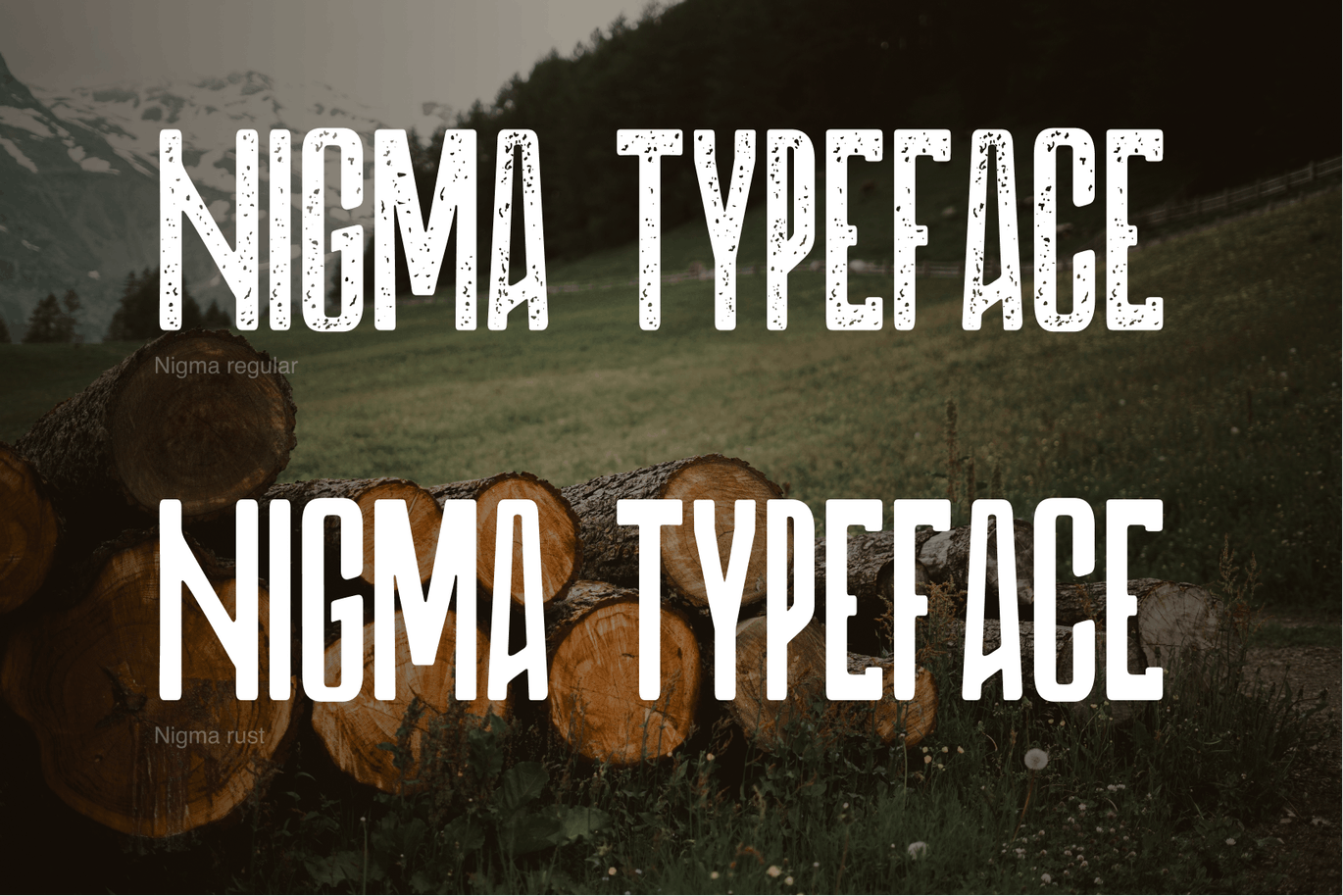 复古加粗无衬线字体素材 DTF Nigma 设计素材 sucaiwan.com