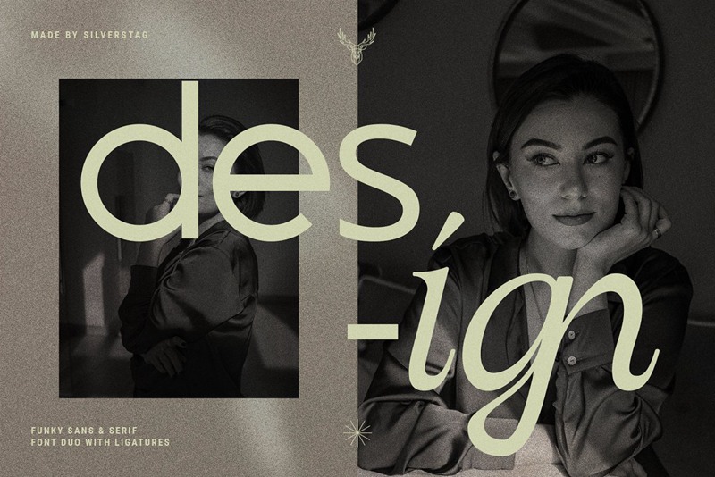 英文字体:优雅现代感时髦创意独特连字混排效果字体包 设计素材 第8张-素材湾丨精选海外优质设计素材资源 英文字体:优雅现代感时髦创意独特连字混排效果字体包 设计素材 sucaiwan.com