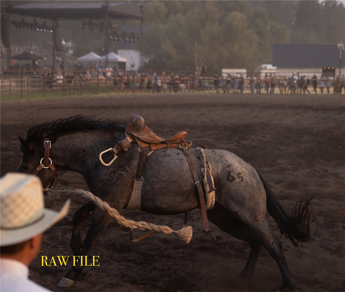 37个经典胶片扫描电影颗粒纹理LR调色预设包 Forrest Mankins - FM Film Lightroom Presets 插件预设 第6张-素材湾丨精选海外优质设计素材资源 37个经典胶片扫描电影颗粒纹理LR调色预设包 Forrest Mankins - FM Film Lightroom Presets 插件预设 sucaiwan.com