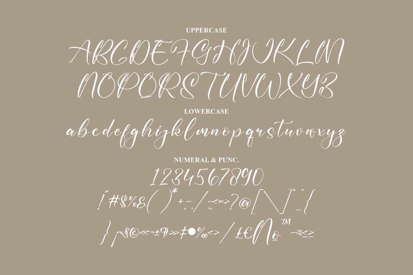 签名连字手写脚本字体 Hillarya Maliah Script Font 设计素材 sucaiwan.com