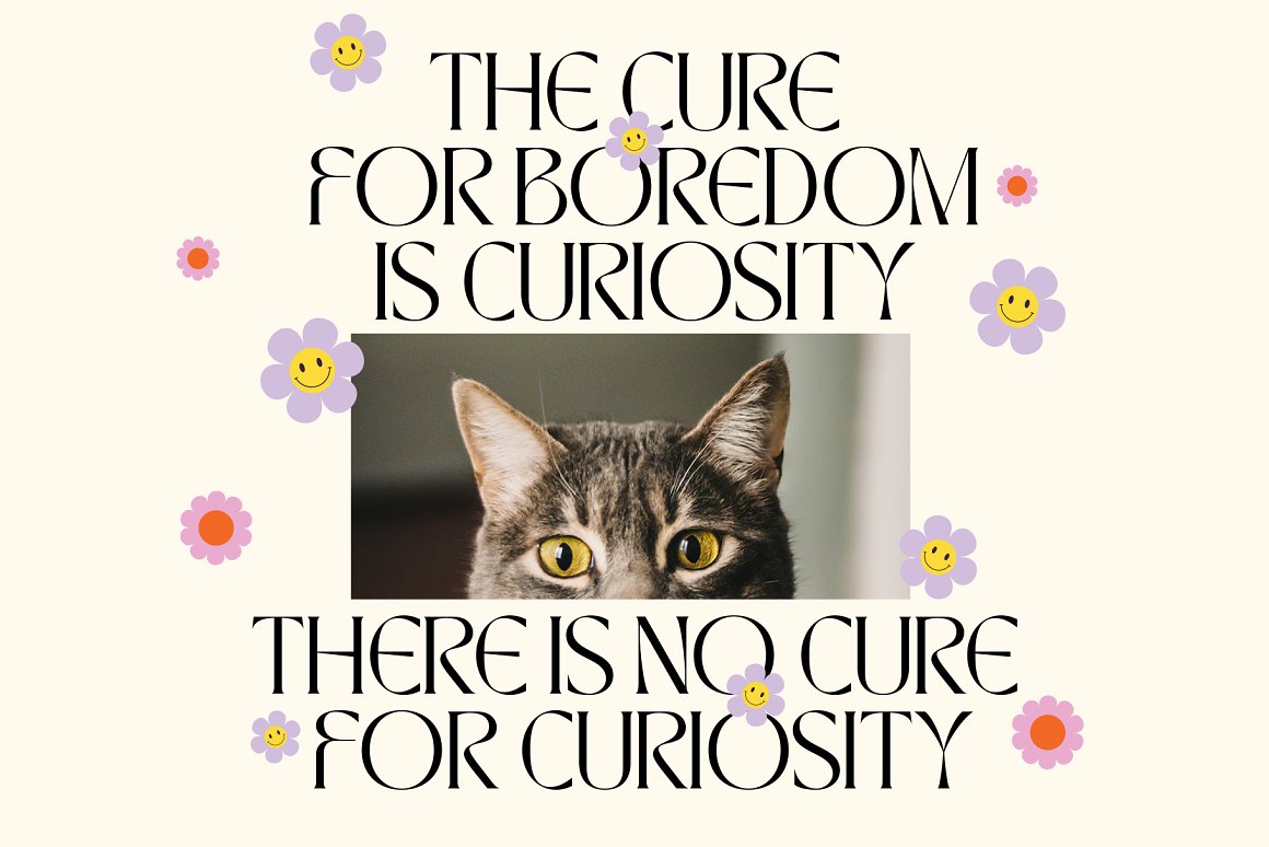 英文字体：优雅俏皮逆反差酸性海报标题徽标设计衬线英文字体 TAN - WALTZING MATHILDE 设计素材 sucaiwan.com